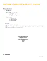 National Team Audit Report Template