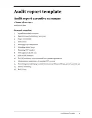 Summary of Health Audit Report Template
