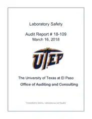 Laboratory Safety Audit Report Template