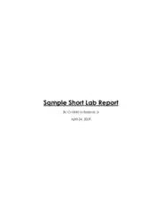Sample Short Lab Report Template