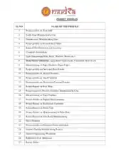Business Project Profiles Report Template