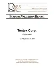 Free Download PDF Books, Business Valuation Report Sample Template