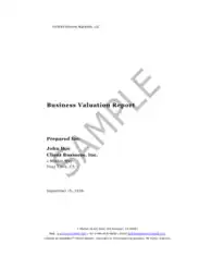 Sample Small Business Valuation Report Template