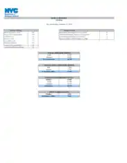 Formal Daily Report Template