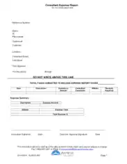 Consultant Expense Report Sample Template