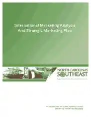 International Marketing Analysis and Marketing Plan Template
