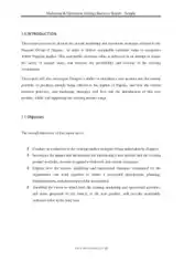 Marketing and Operations Strategy Business Report Template