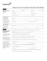 TransUnion Personal Credit Report Template