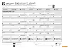 Employee Monthly Work Schedule Fillable Template