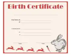 Free Download PDF Books, Birth Certificate Rabbit Template