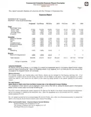 Commercial Expense Report Example Template