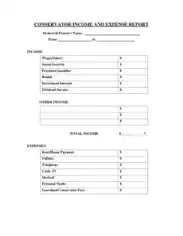 Conservator Income and Expense Report Template