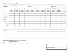 Free Download PDF Books, Sample Weekly Sales Activity Report Template