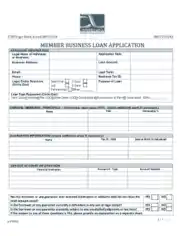 Business Member Loan Application Template