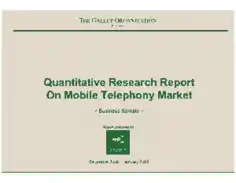 Free Download PDF Books, Quantitative Research Report on Mobile Telephony Market Template