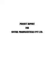Manufacturing Unit Project Report Template