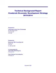 Economic Development Technical Background Report Template