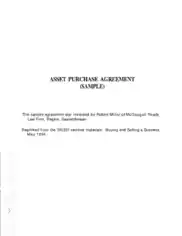 Intellectual Property Asset Purchase Agreement Template