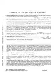 Commercial Purchase and Sales Agreement Template