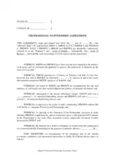 Professional Business Partnership Agreement Template