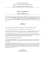Operating Agreement of The Big Venture LLC Template