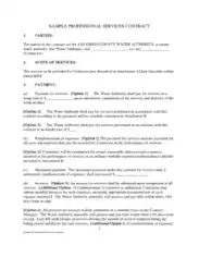 Professional Business Service Contract Agreement Template