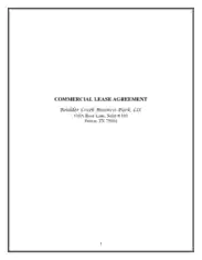 Commercial Lease Agreement Business Template