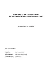 Agreement Between Client and Prime Consultant Template
