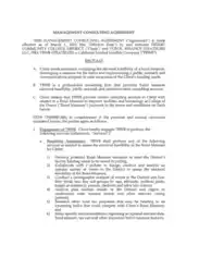Management Consulting Agreement Example Template