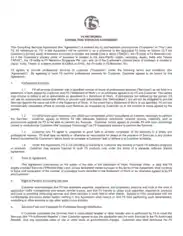 Networks Consulting Service Agreement Template