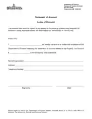 Statement of Account Letter of Consents Template