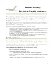 Business Planning Pro Forma Financial Statement Template
