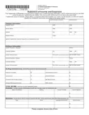 Colorado Statement of Income and Expenses Template