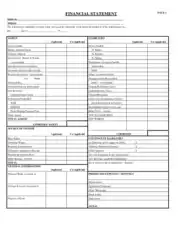 Financial Statement Sample Template