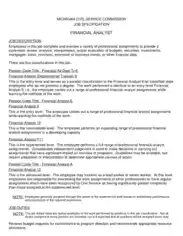 Free Download PDF Books, Financial Business Analyst Resume Template