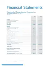 Free Download PDF Books, Financial Statement of Comprehensive Template