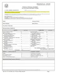 Personal Financial Statement Sample Template
