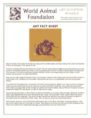 Free Download PDF Books, Ant Fact Sheet Template