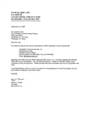 Financial Authorization Letter Example Finance Template