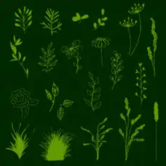 Flowers Background Various Flat Types Isolation Green Decoration Free Vector