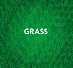 Grass Background Bright Green Decoration Free Vector