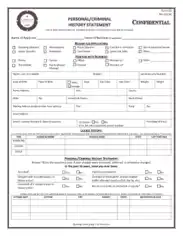 Personal Criminal History Statement Template