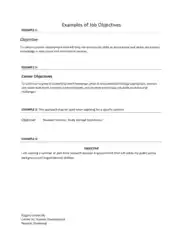 Free Download PDF Books, Example of Job Objective Statement Template