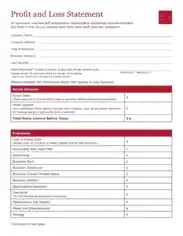 Basic Profit and Loss Statement Template