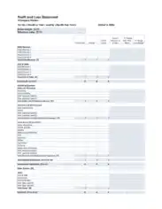 Personal Profit and Loss Statement Form Template