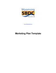 Free Download PDF Books, Executive Summary Marketing Plan Template
