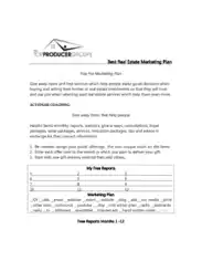 Marketing Plan For Real Estate Sample Template