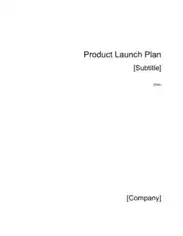 Sample Product Launch Marketing Plan Template
