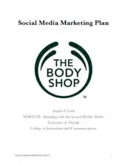 Free Download PDF Books, Social Media Marketing Plan Analysis Template