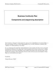 Business Continuity Plan Example Template